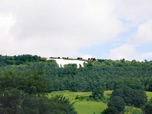 Grange Farm Lodge リポン エクステリア 写真